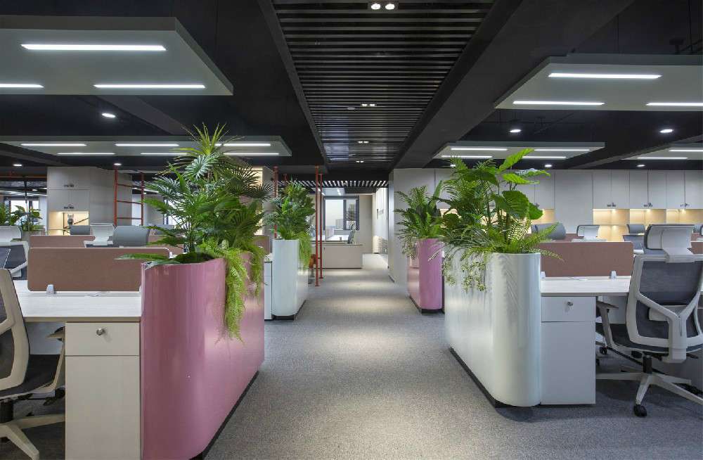 1666233093921112.jpg 102027.jpg